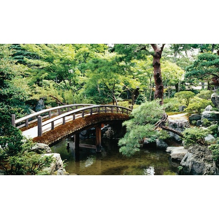 Biggies Scenes Window Well Scenes-Bonsai, 120 in wide x 60 in high BG-WW-BNS-120